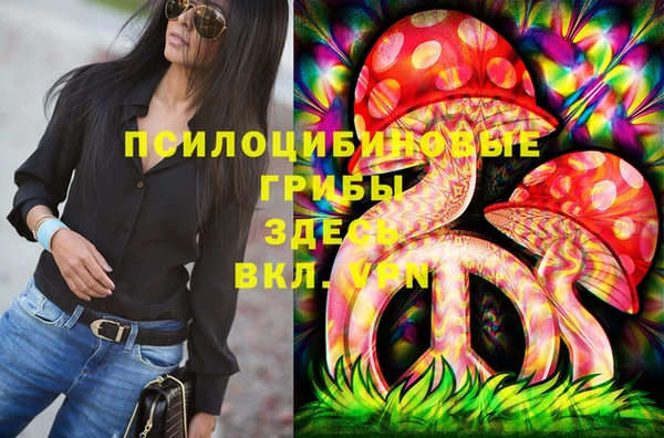 гидра Армянск