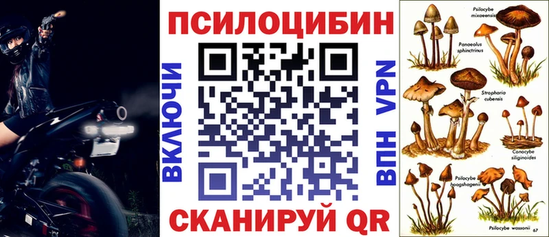 MEGA ссылка  Солнечногорск  Галлюциногенные грибы GOLDEN TEACHER  хочу  